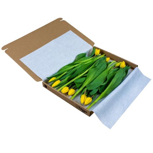 12 tulpen in doosje - Afbeelding 5